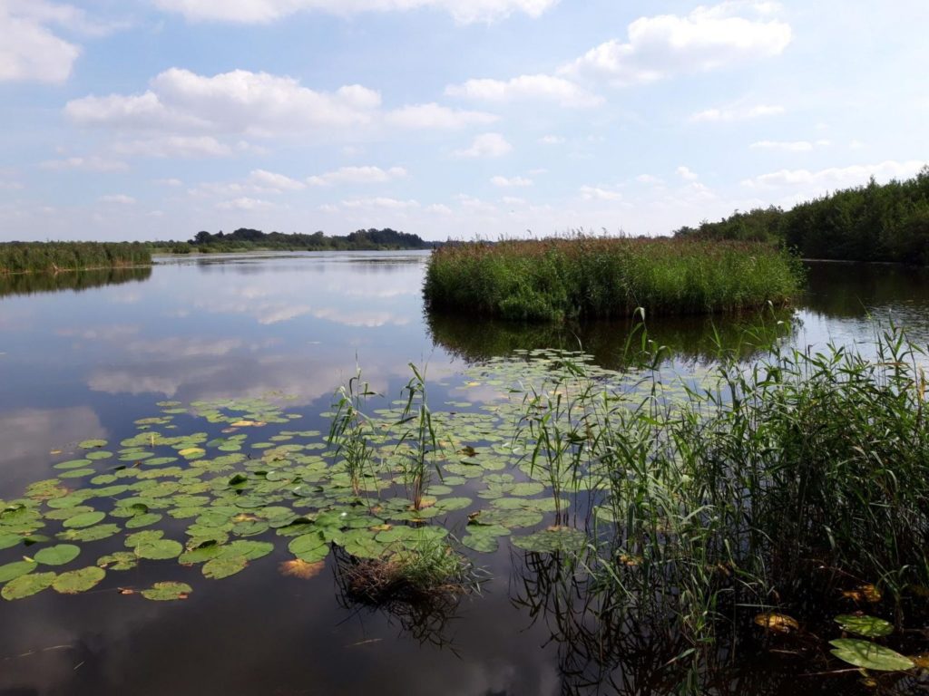 Hollands Ankeveense Plas