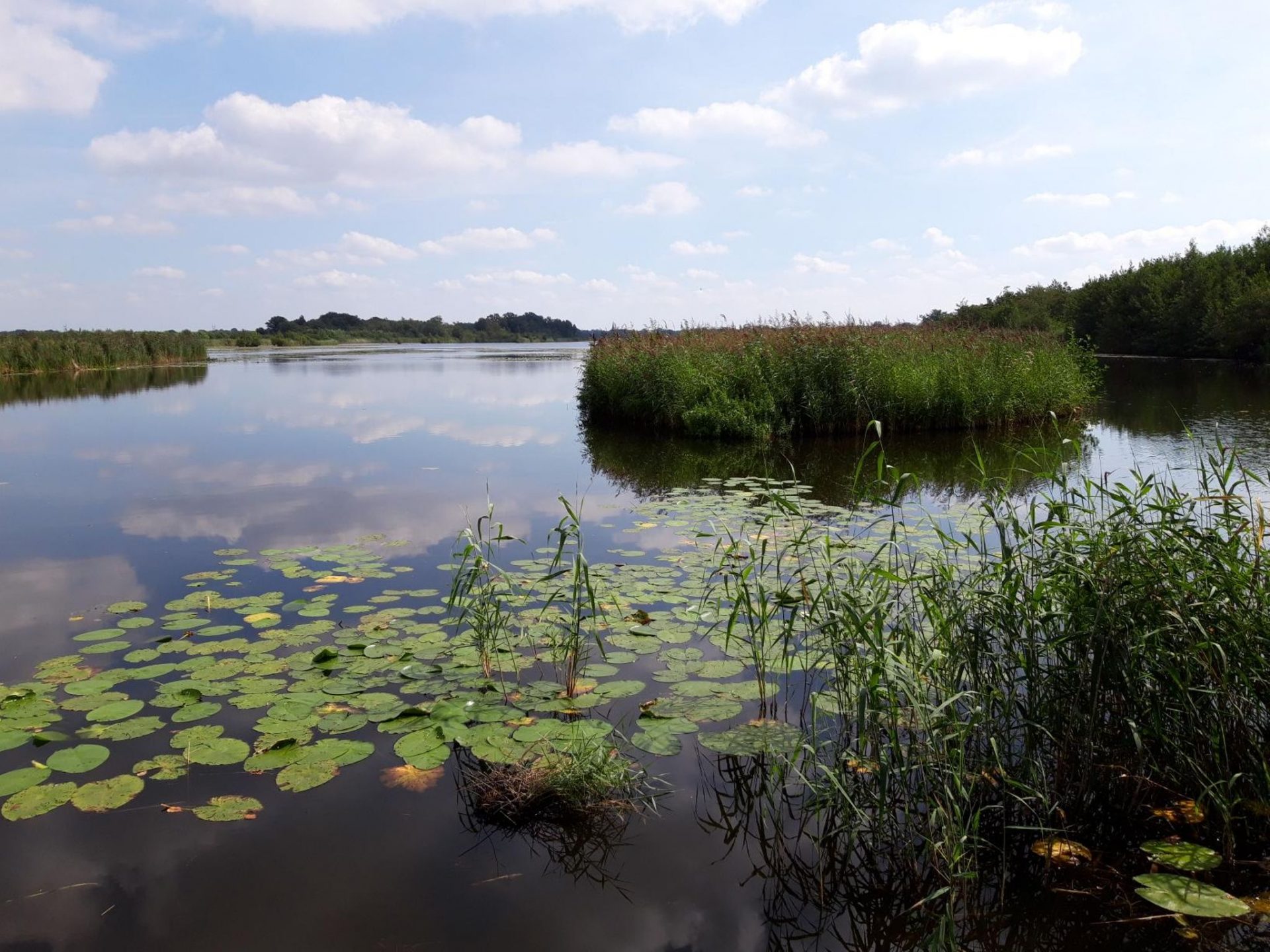 Hollands Ankeveense Plas