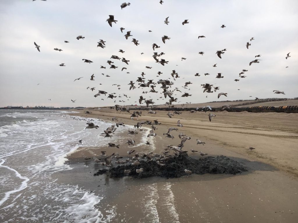 Prins Hendrik Zanddijk