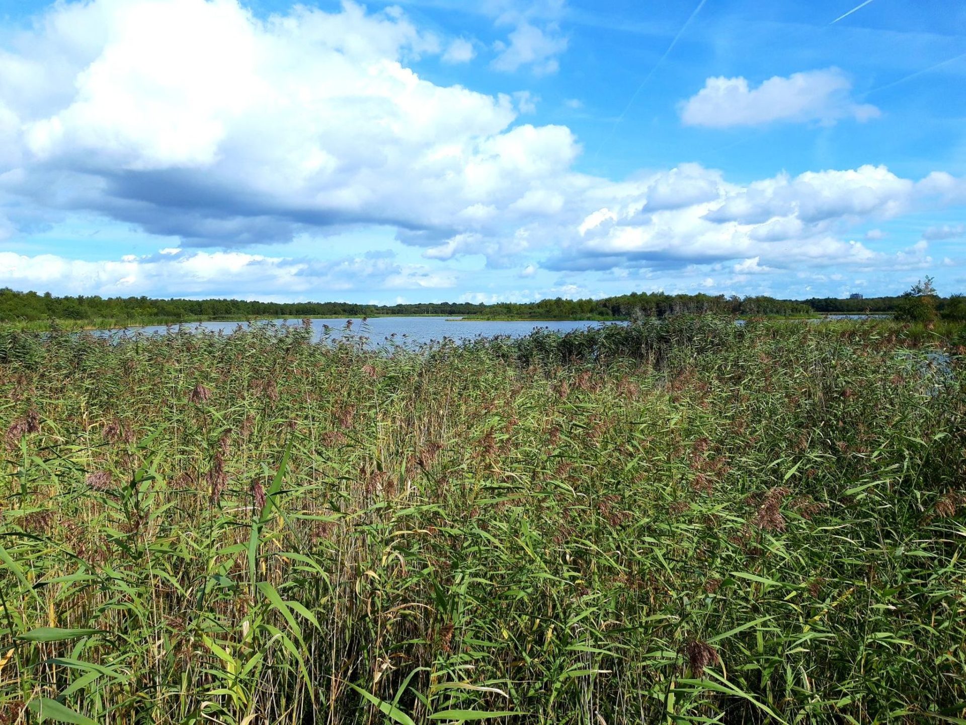 Naardermeer