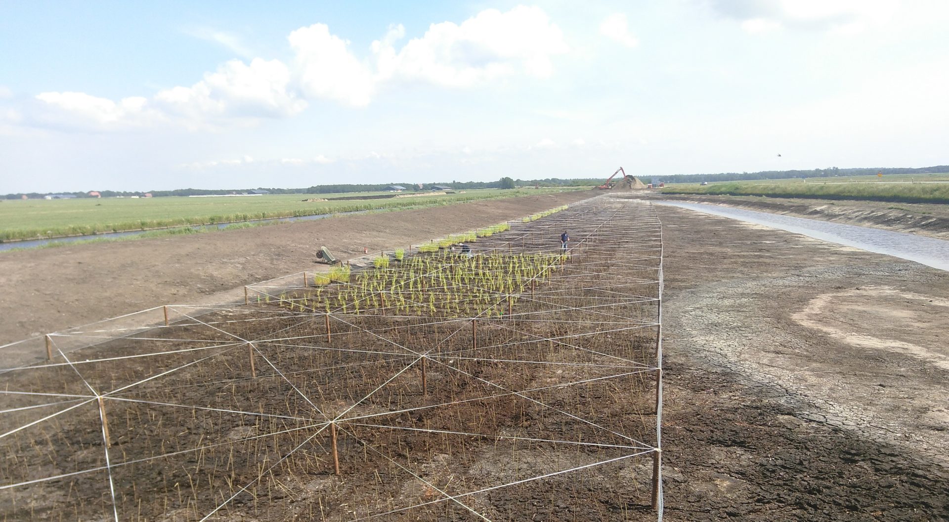 Helofytenfilter Rysterpolder
