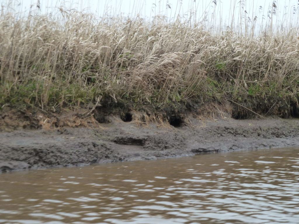 Foto Marc Rothengatter