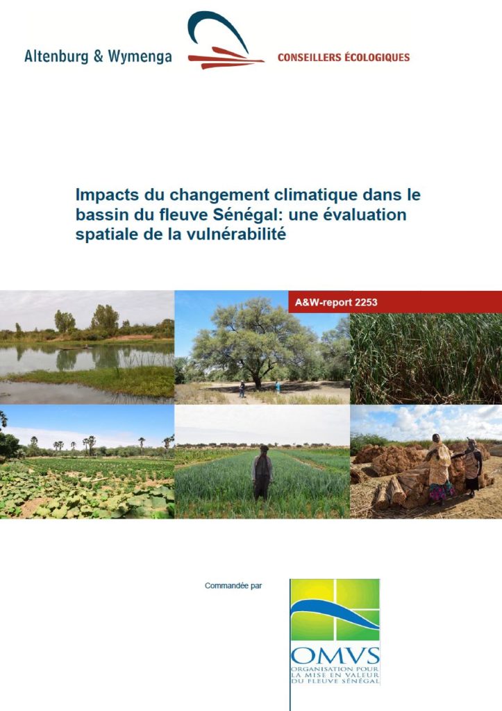 Senegal rapportage thumbnail