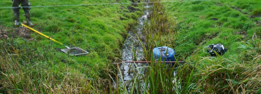 NWG Biotoop Grote Modderkruipers