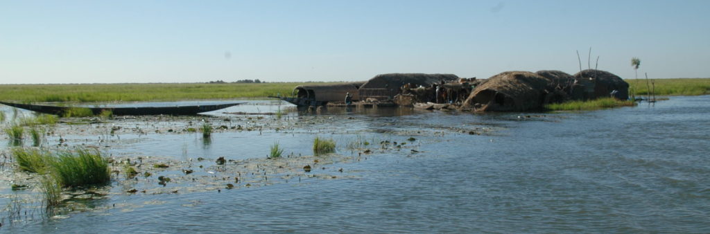 High flood in the Inner Niger Delta, Mali. Leo Zwarts, A&W