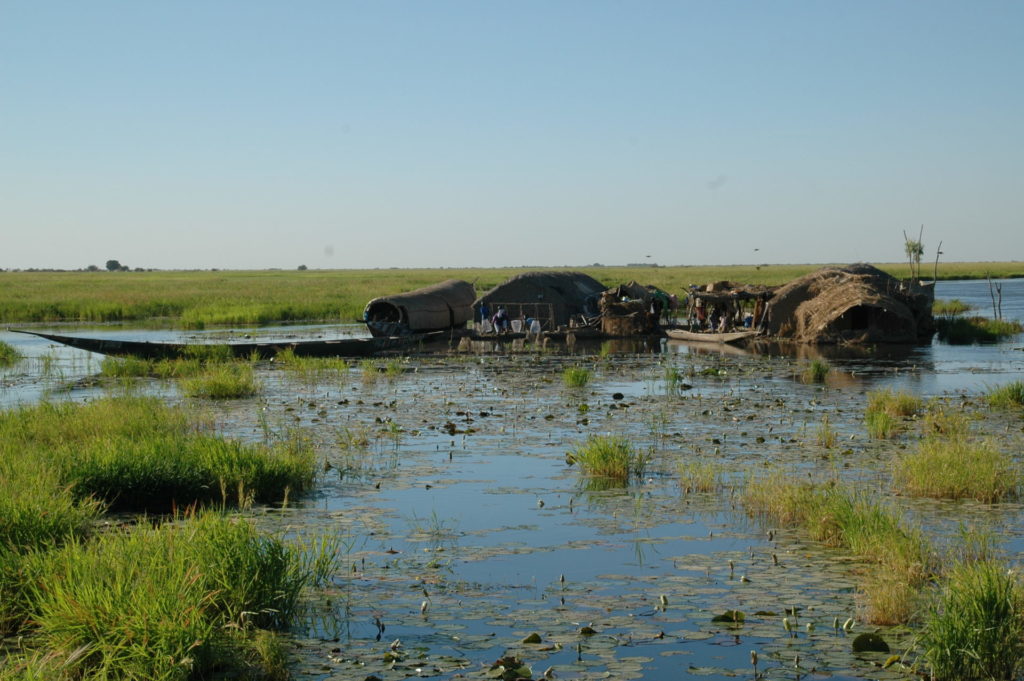 Hoog water in de binnendelta van de Niger in Mali, Leo Zwarts