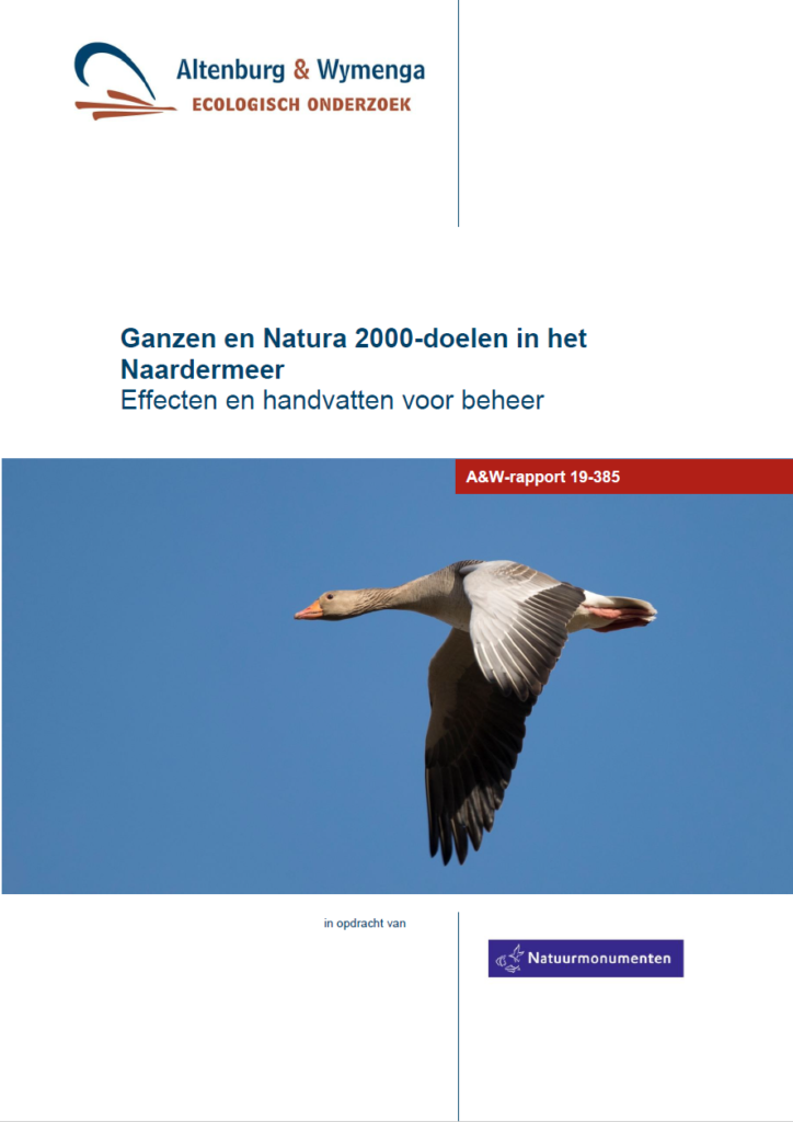 Ganzen En Natura 2000 Doelen In Het Naardermeer