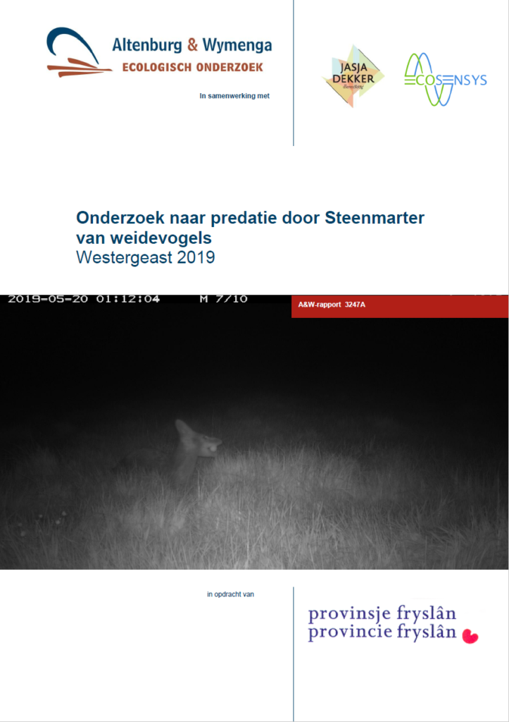 Onderzoek Naar Predatie Door Steenmarter