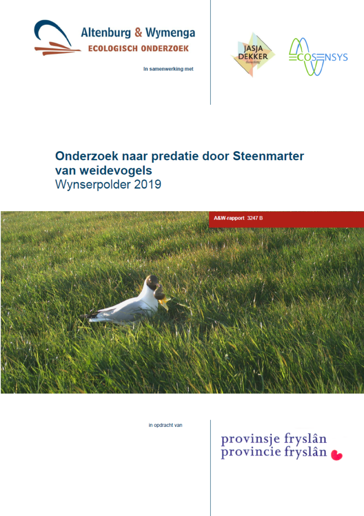 Onderzoek Naar Predatie Door Steenmarter Wynserpolder