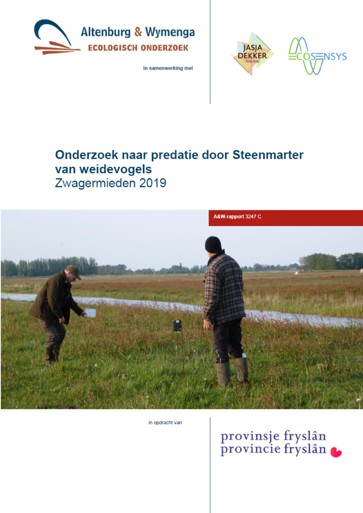 Onderzoek Naar Predatie Door Steenmarter Zwagermieden