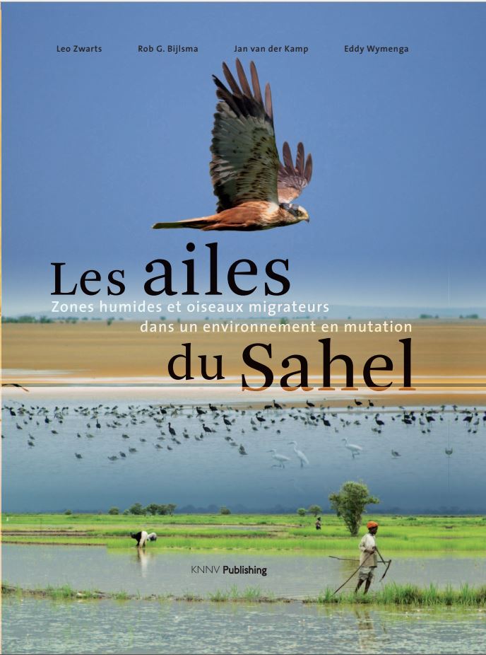 Les Ailes Du Sahel