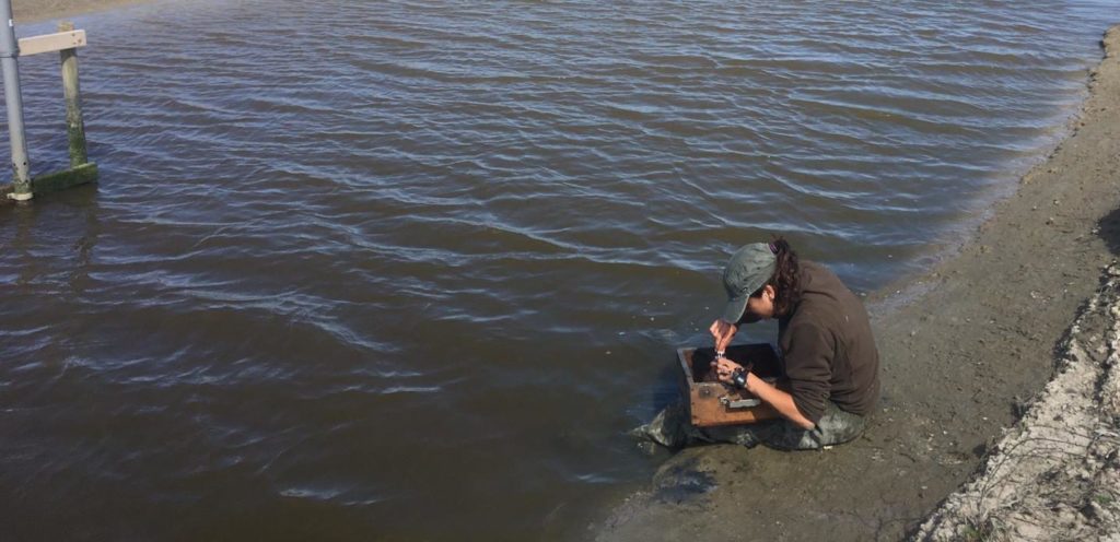 Veldwerk voedselbeschikbaarheid