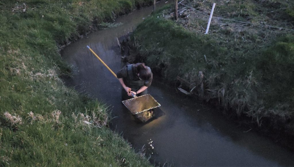 Foto Vangen Heikikkers Crop