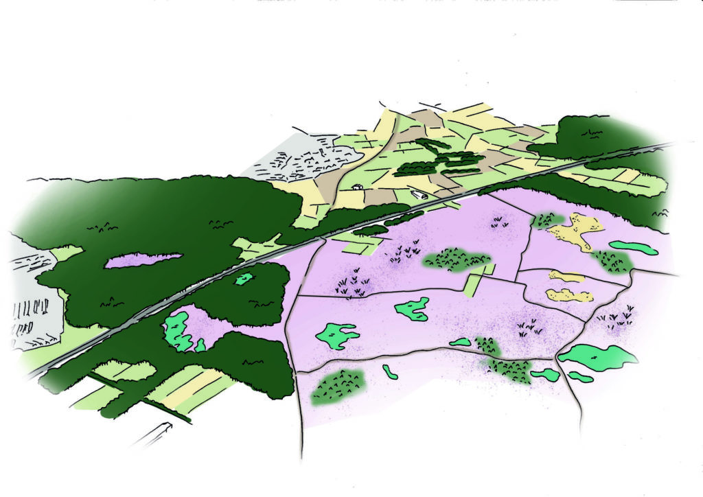 vogelvlucht perspectief Strabrechtse heide A67