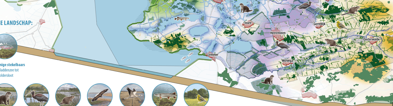 Uitsnede Natuerlik Fryslân