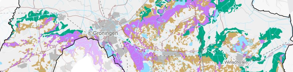 Banner Type Veenbodem Grn