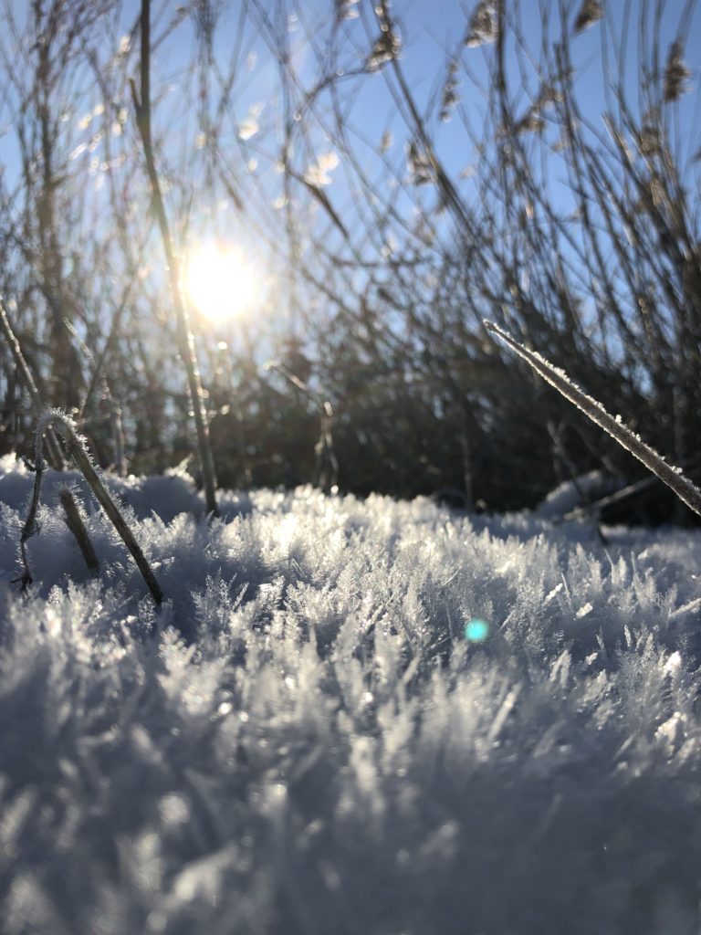 Winter