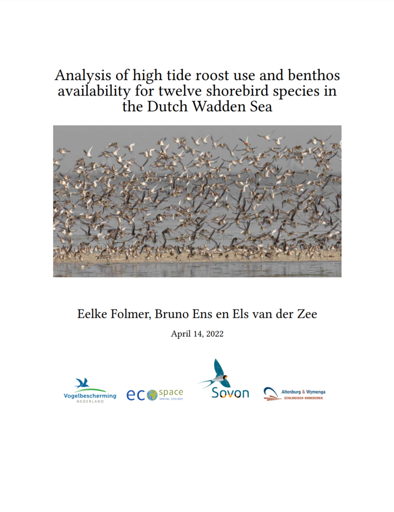 Analysis Of High Tide Roost Use