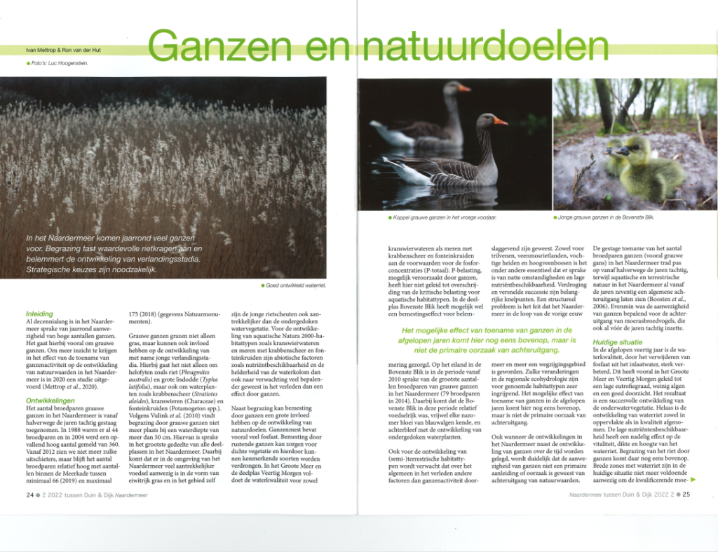 Mettrop & Van Der Hut 2022 Ganzen Naardermeer