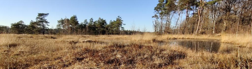 Mosterdveen, bij Ven F