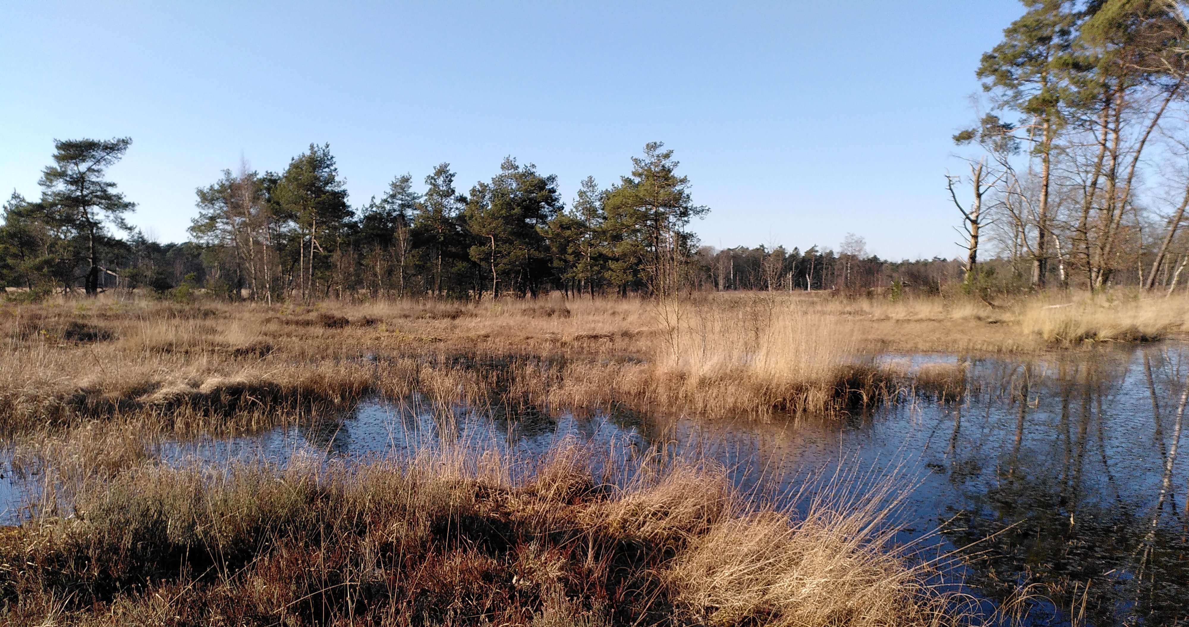 Mosterdveen, Ven C