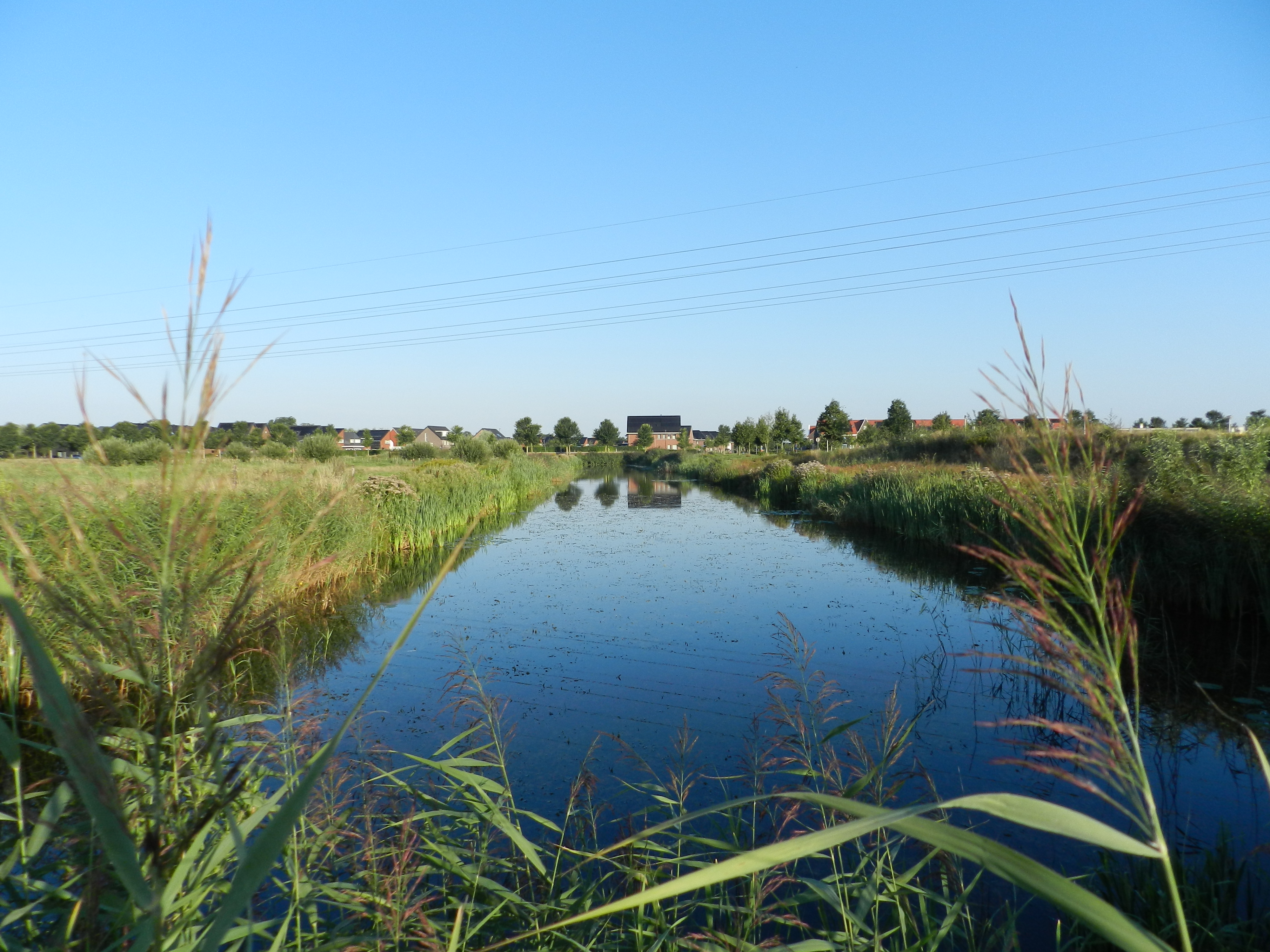 Meerstad