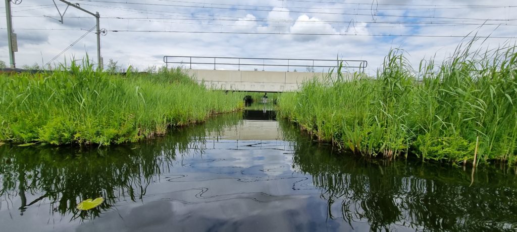 Faunapassage Naardermeer