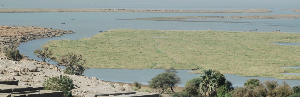 Binnendelta Niger, Mali, Foto Leo Zwarts