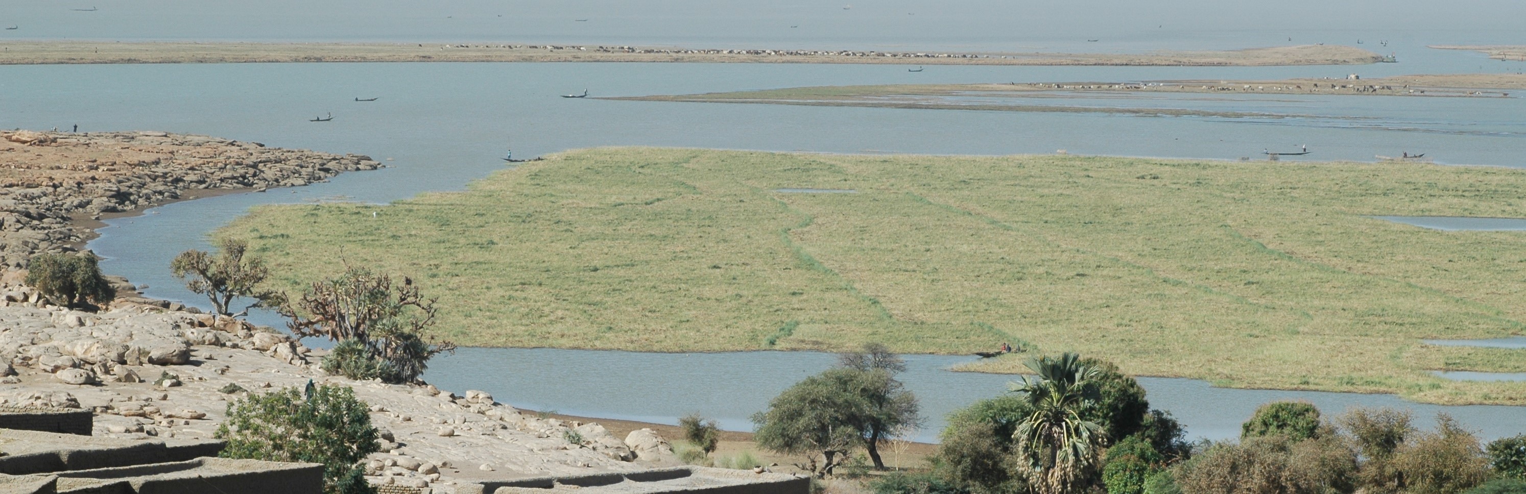 Binnendelta Niger, Mali, Foto Leo Zwarts