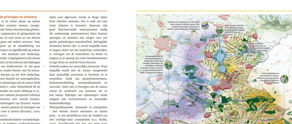 Uitsnede Artikel Landschap