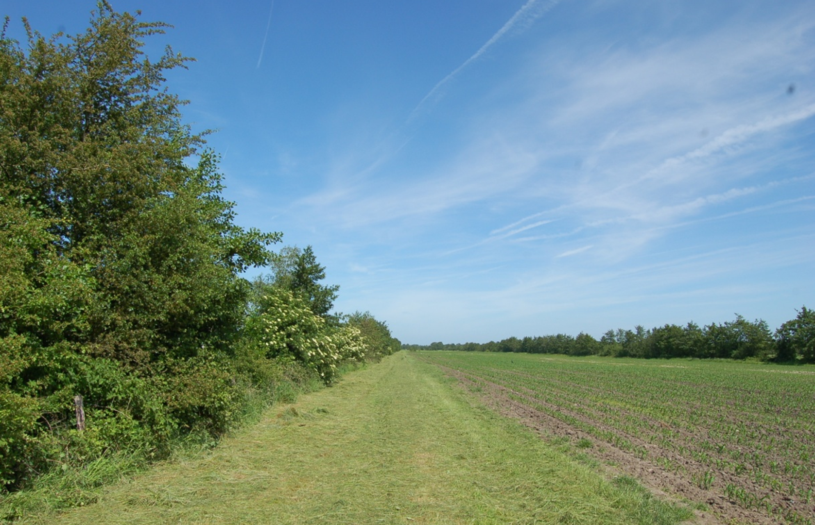 Coulisselandschap