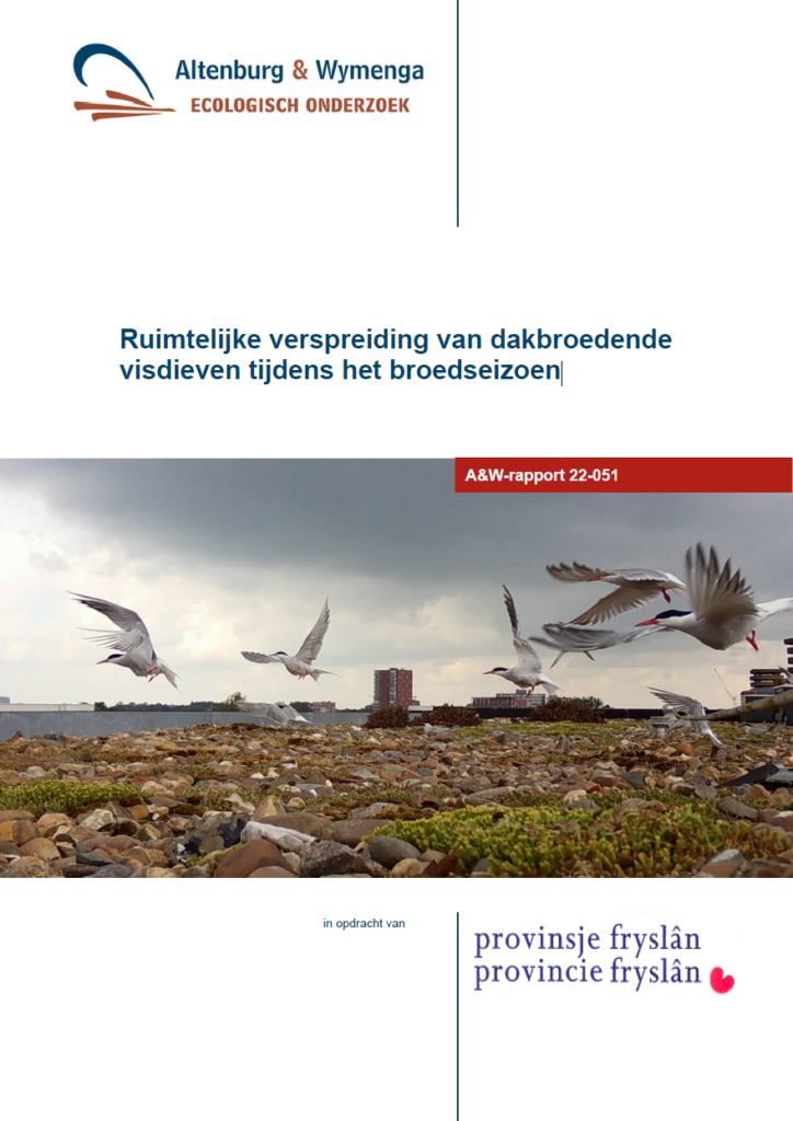 Dakbroedende Visdieven