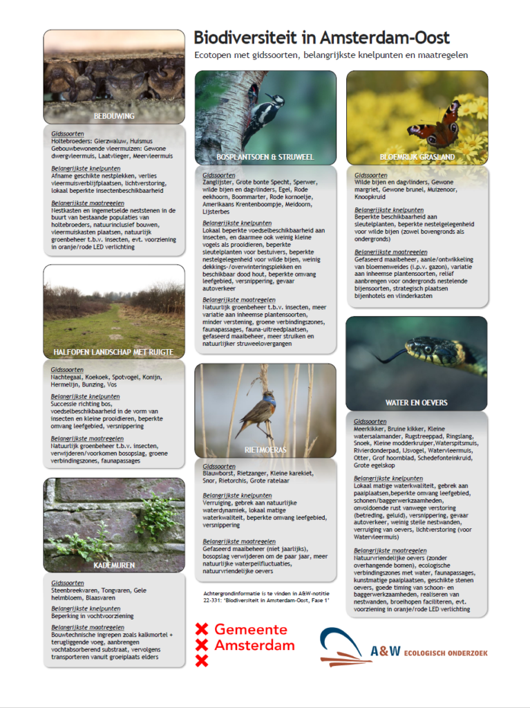 Poster Biodiversiteit In Amsterdam Oost