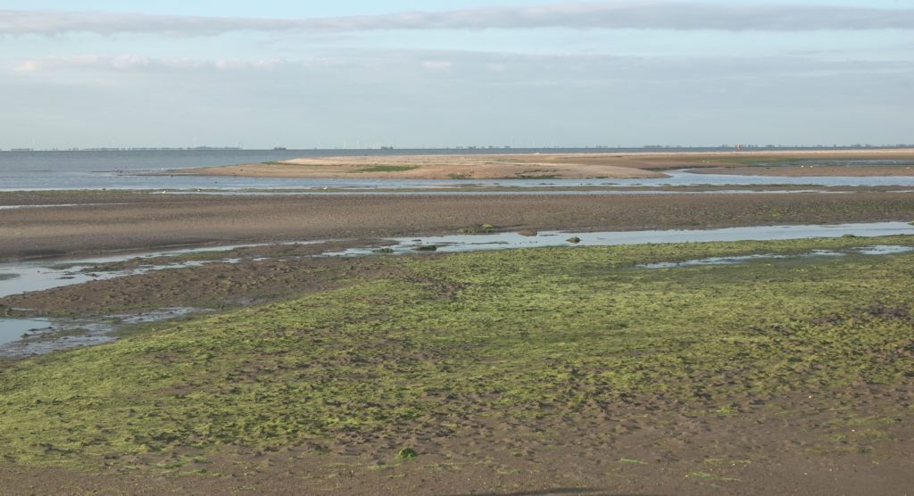Noord Oost Punt Strandhaak