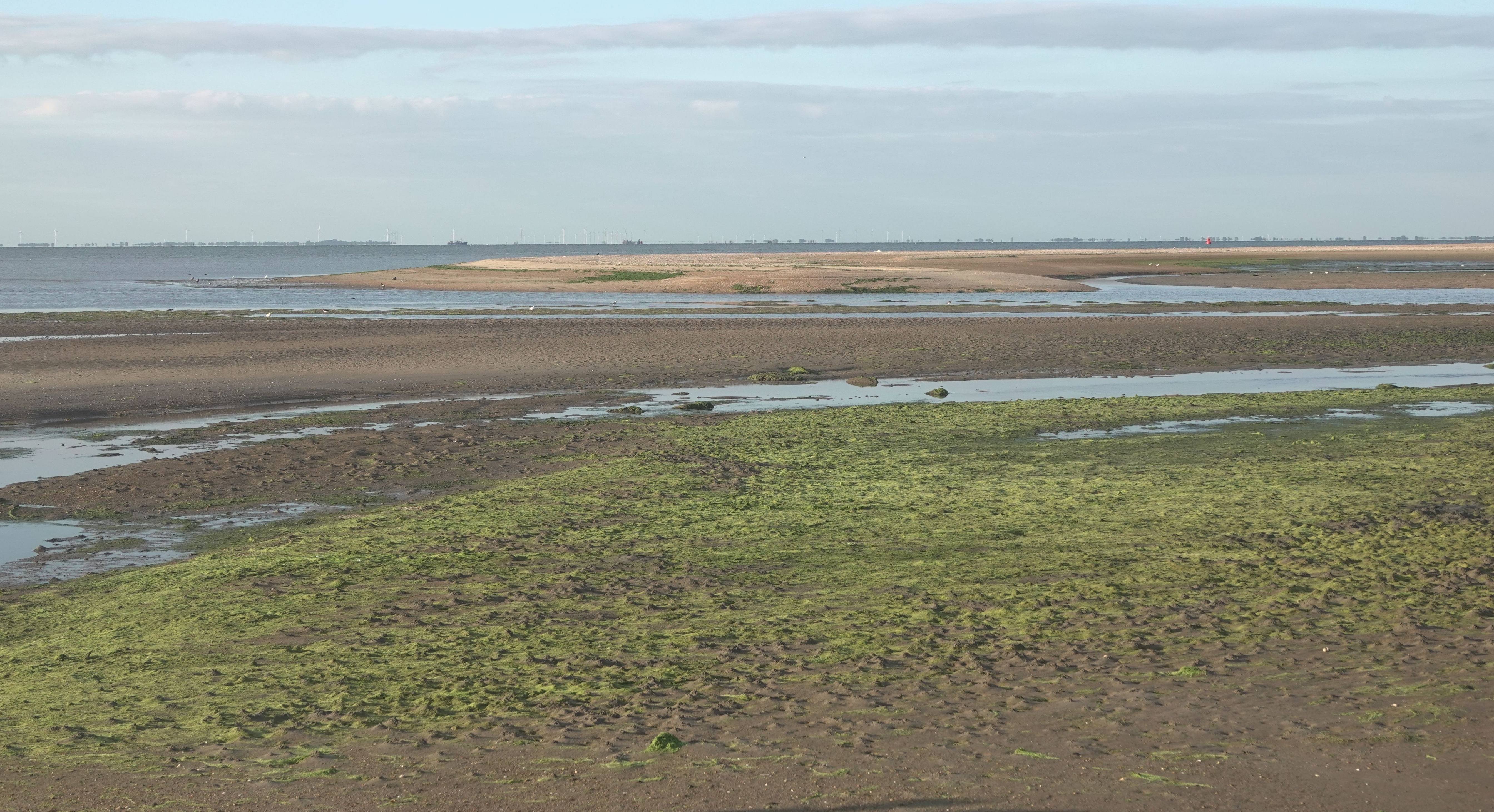 Noord Oost Punt Strandhaak