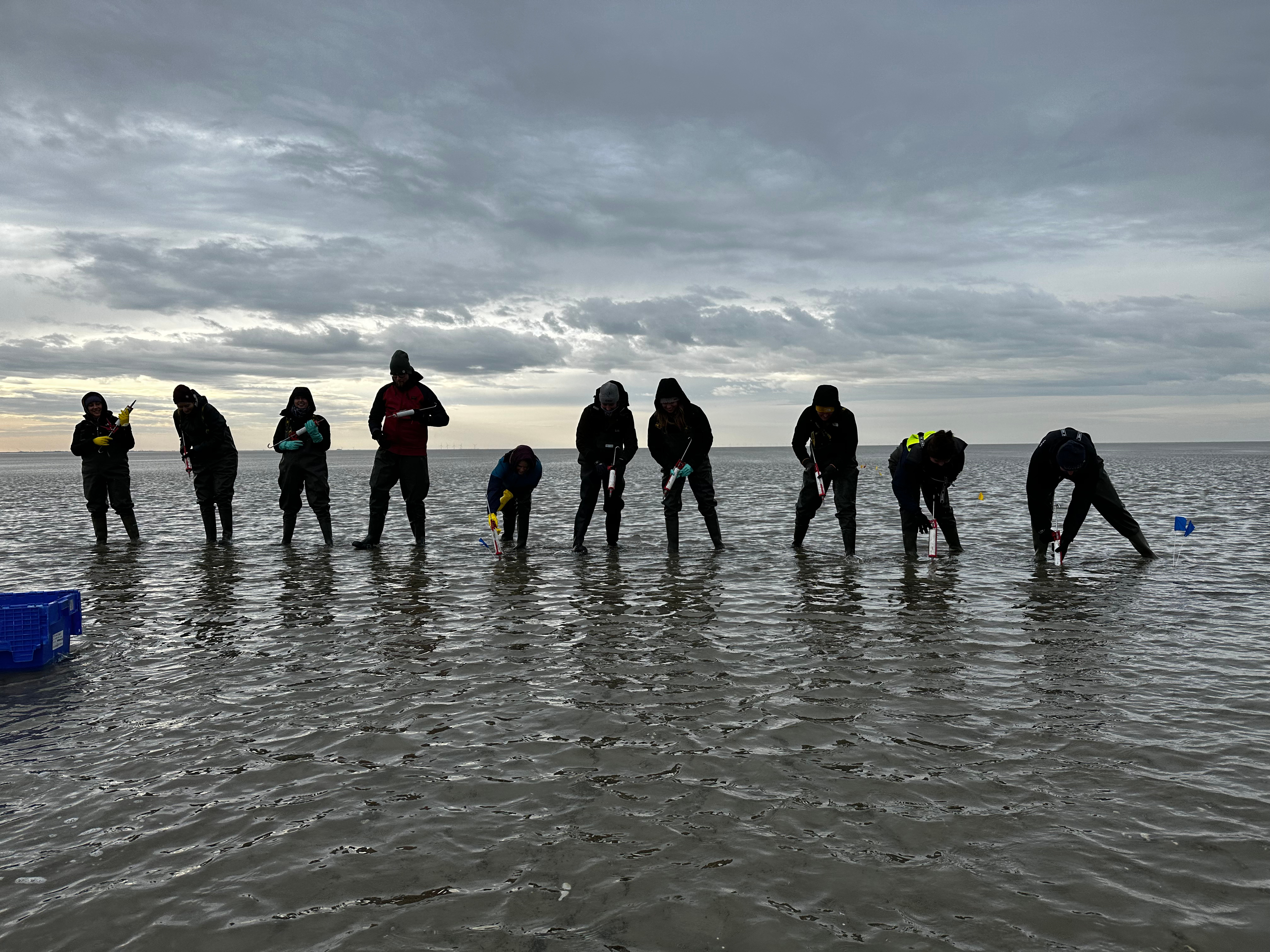 Waddenzee