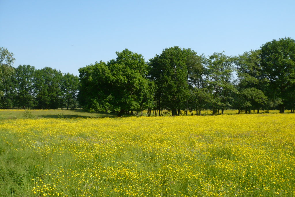 P1090007
