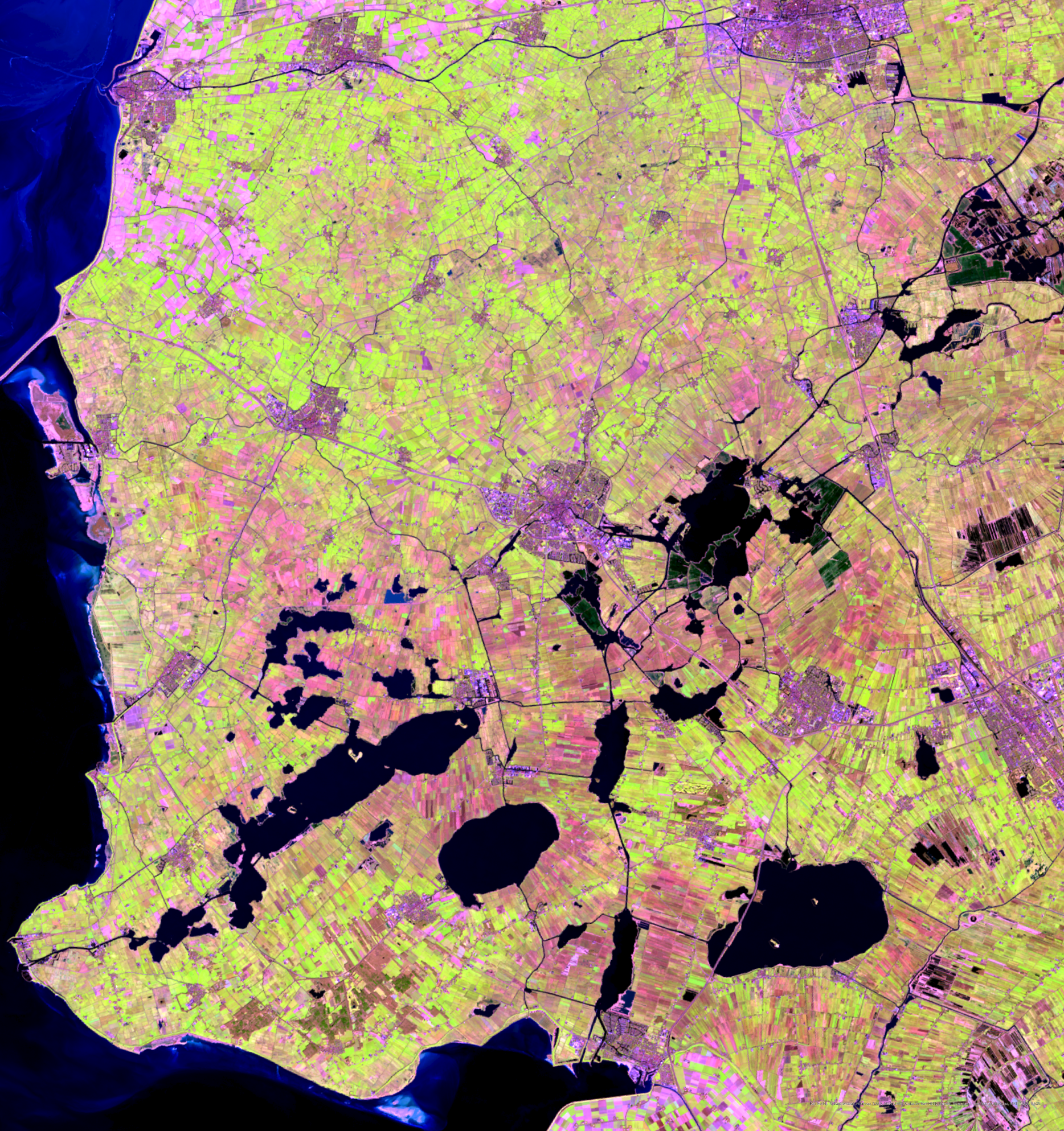 Remote Sensing Muizenschade Friesland