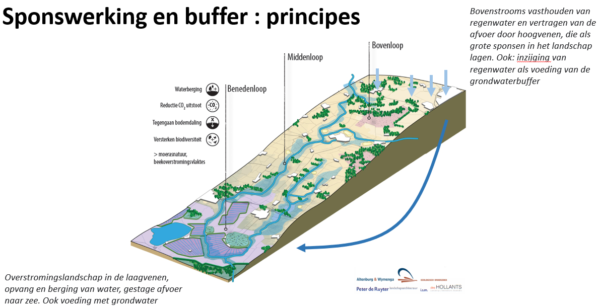 sponswerking en buffer: principes