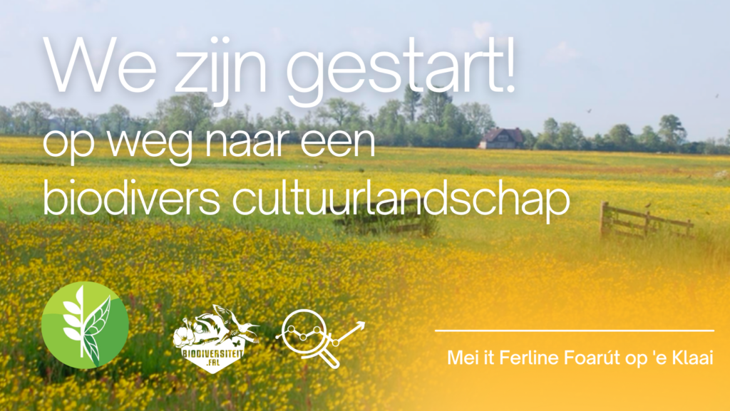 Header Artikel MIFF Van Start