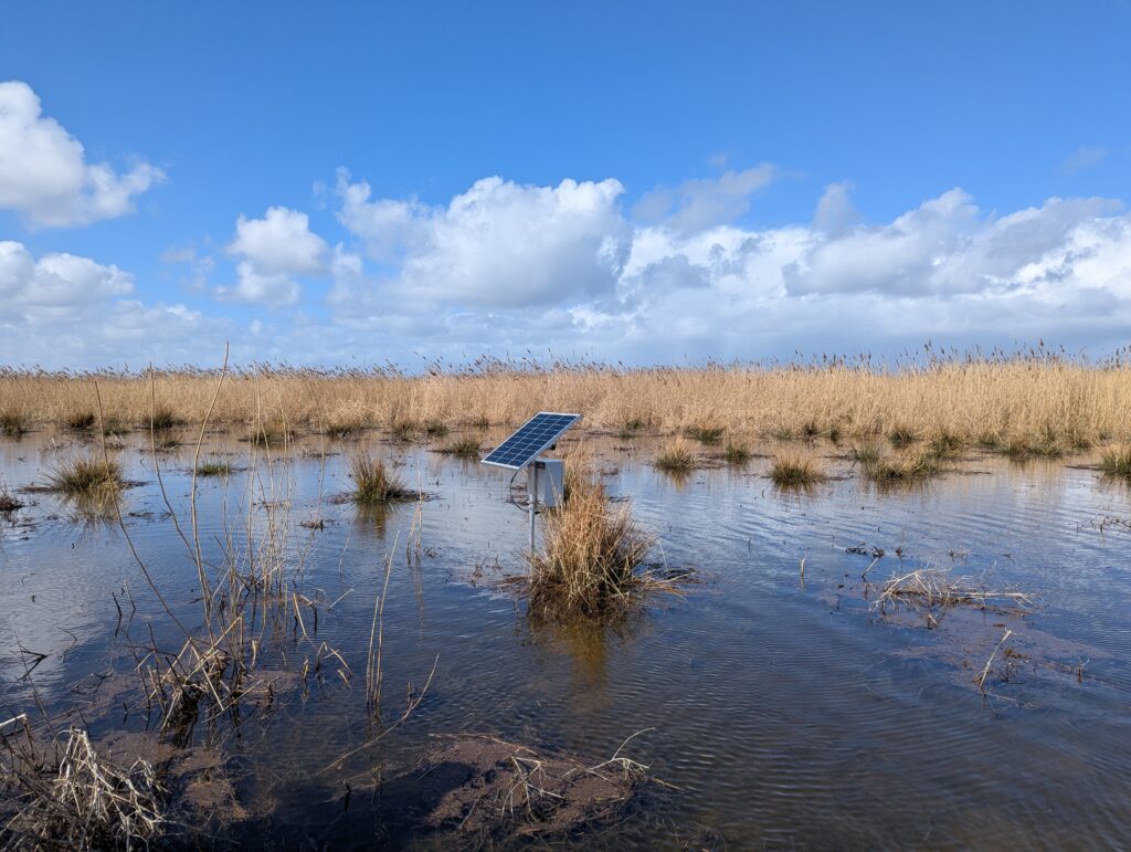 PXL 20260326 113525652